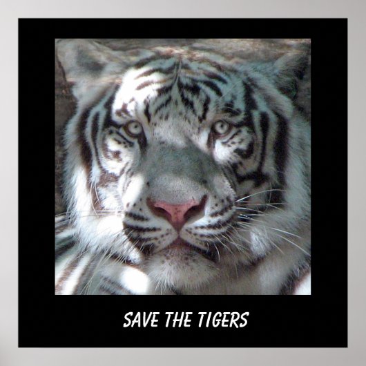 Rettet den Tiger Poster (Vorne)