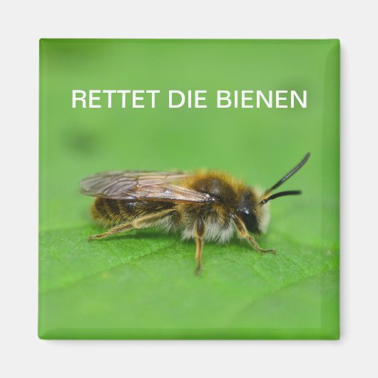 Rettet die Bienen Magnet (Vorne)