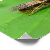 Rettet die Bienen Poster (Ecke)