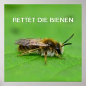 Rettet die Bienen Poster (Vorne)
