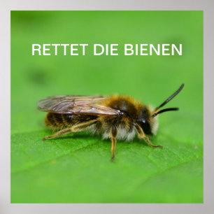 Rettet die Bienen Poster