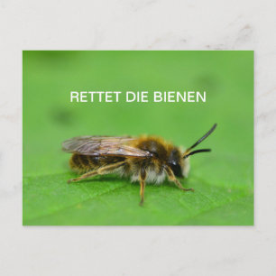 Rettet die Bienen Postkarte