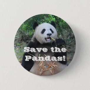 Rettet die Großen Pandas Button
