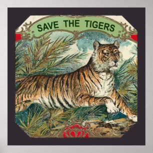 Rettet die Tiger Poster