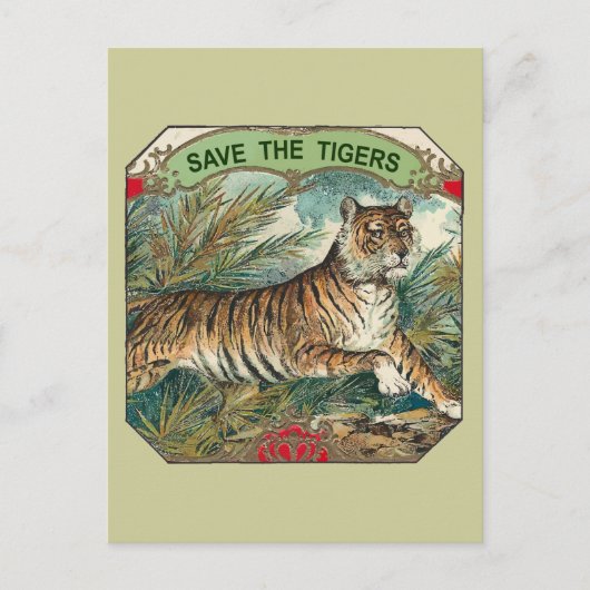 Rettet die Tiger Postkarte (Vorderseite)