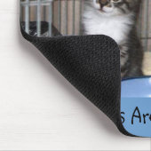 Rettet Kitten Treasures Mousepad (Ecke)