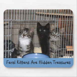 Rettet Kitten Treasures Mousepad