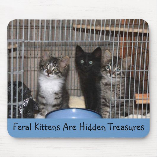 Rettet Kitten Treasures Mousepad (Vorne)