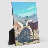 Rettet Pferde, die Heu essen Fotoplatte (Seite)