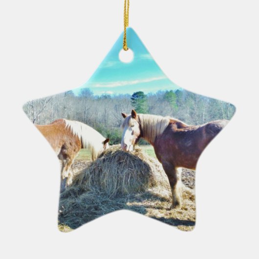 Rettet Pferde, die Heu essen Keramikornament (Vorne)