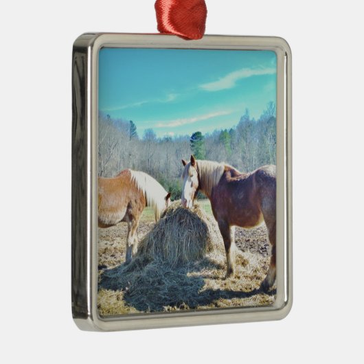 Rettet Pferde, die Heu essen Silbernes Ornament (Rechts)