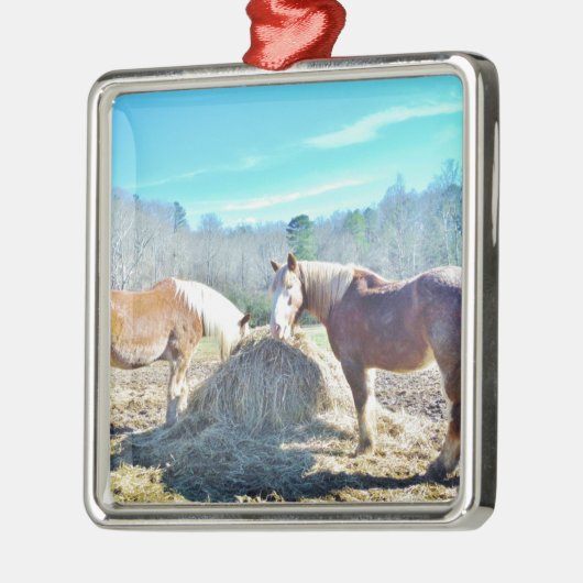 Rettet Pferde, die Heu essen Silbernes Ornament (Links)