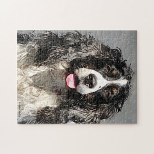 Rettet Springer Spaniel Dog Jigsaw Puzzle (Horizontal)