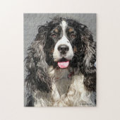 Rettet Springer Spaniel Dog Jigsaw Puzzle (Vertikal)