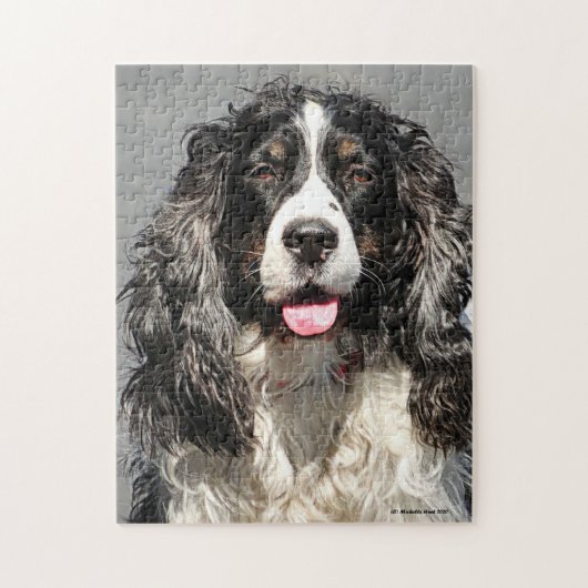 Rettet Springer Spaniel Dog Jigsaw Puzzle (Vertikal)