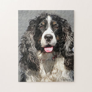 Rettet Springer Spaniel Hund Jigsaw Puzzle