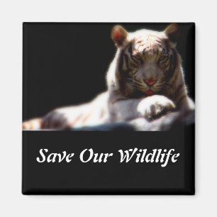 Rettet unsere Wildtiere Tiger-Platz-Magnet Magnet