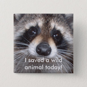 Rettete ein wildes Tier - Raccoon Button