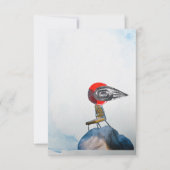 Rettetest (Vorderseite)