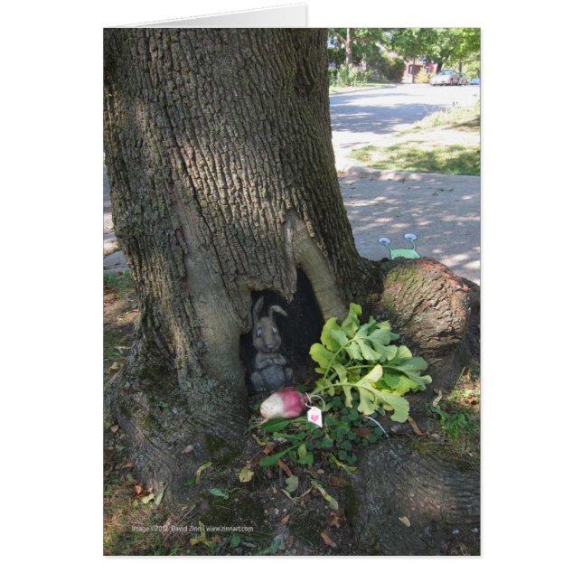 Rettich Gifting (Vorne)