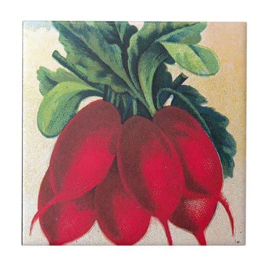 Rettich-Samen-Paket Fliese (Vorderseite)