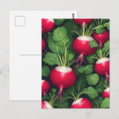 Rettichmuster Frisches Gemüse Postkarte (Vorne/Hinten)