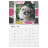 Rettung Alliance Amerikaner-Brüssels Griffon Kalender (Feb 2026)