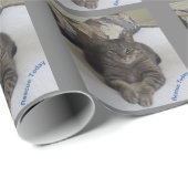 Rettung-Cat-Geschenkpapier Geschenkpapier (Rolleneckpunkt)