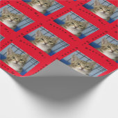 Rettung-Cat-Geschenkpapier Geschenkpapier (Ecke)