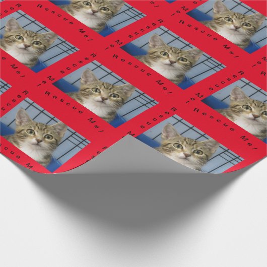 Rettung-Cat-Geschenkpapier Geschenkpapier (Ecke)