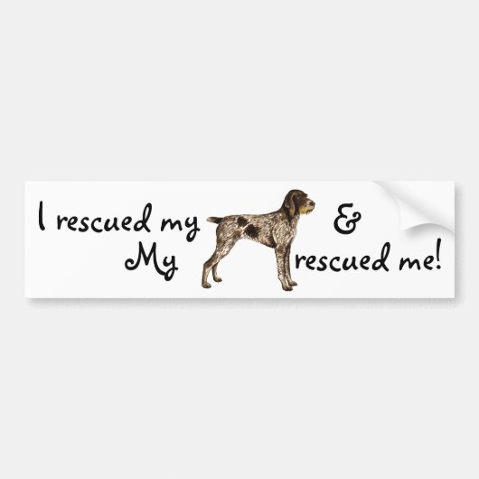 Rettung des deutschen Drahthaare Pointer Autoaufkleber (Vorne)