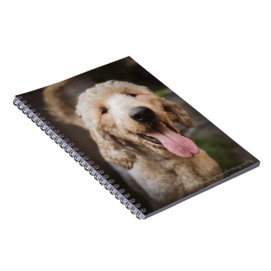 Rettung Hund lächelt Standard Poodle Notebook Notizblock (Rechte Seite)