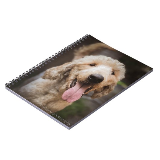 Rettung Hund lächelt Standard Poodle Notebook Notizblock (Linke Seite)