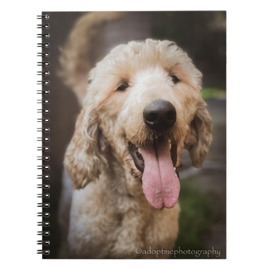 Rettung Hund lächelt Standard Poodle Notebook Notizblock (Vorderseite)