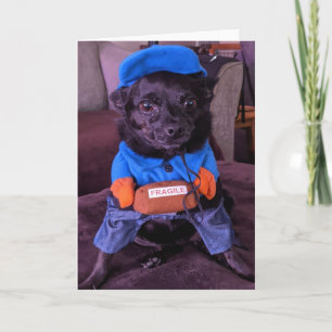 Rettung Hunde Standard, 5" x 7" geklappte Grußkart Karte