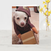 Rettung Hunde Standard, 5" x 7" geklappte Grußkart Karte (Gelbe Blume)