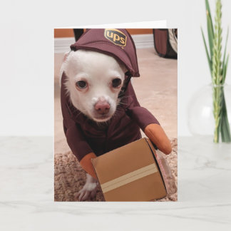 Rettung Hunde Standard, 5" x 7" geklappte Grußkart Karte