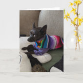 Rettung Hunde Standard, 5" x 7" geklappte Grußkart Karte (Gelbe Blume)