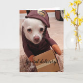 Rettung Hunde Standard, 5" x 7" geklappte Grußkart Karte (Gelbe Blume)