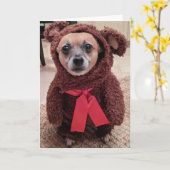 Rettung Hunde Standard, 5" x 7" geklappte Grußkart Karte (Gelbe Blume)