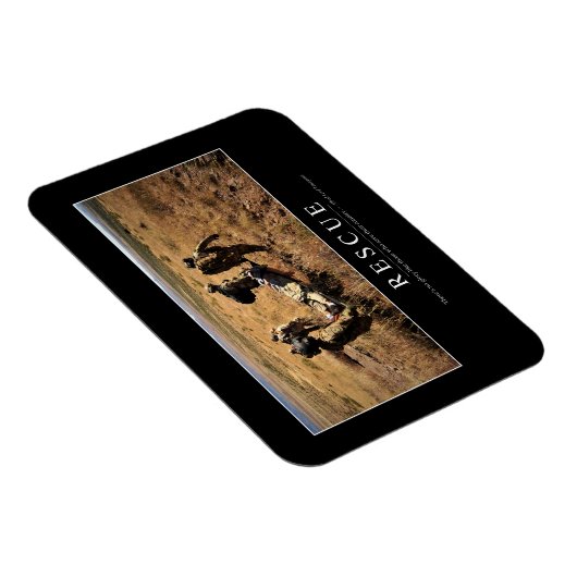 Rettung: Inspiration Zitat 1 Magnet (Rechte Seite)