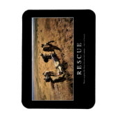 Rettung: Inspiration Zitat 1 Magnet (Vertikal)