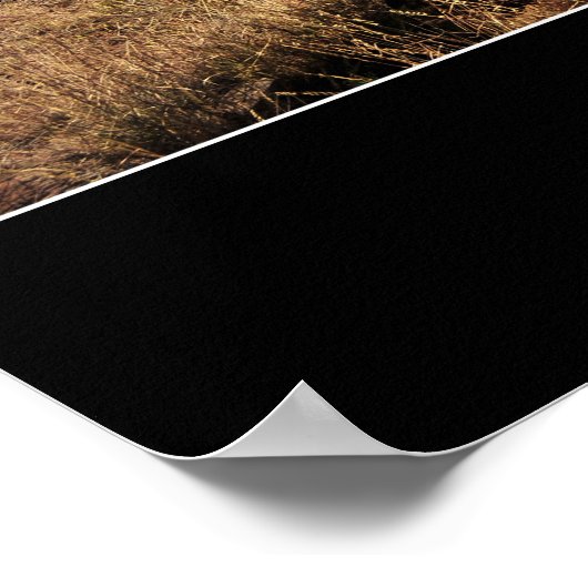 Rettung: Inspiration Zitat 1 Poster (Ecke)