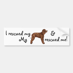 Rettung Irish Water Spaniel Autoaufkleber