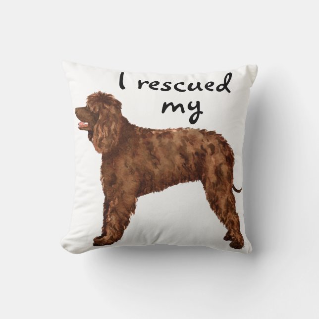 Rettung Irish Water Spaniel Kissen (Vorderseite)