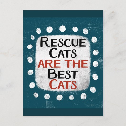 Rettung Katzen sind die besten Katzen Postkarte (Vorderseite)