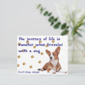 Rettung. Nicht einkaufen. Postkarte (Stehend Vorderseite)