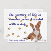 Rettung. Nicht einkaufen. Postkarte (Vorne/Hinten)