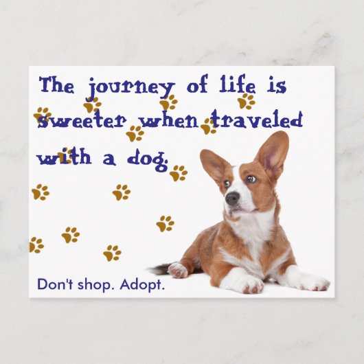 Rettung. Nicht einkaufen. Postkarte (Vorderseite)