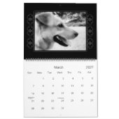 Rettung verfolgt Kalender (Mär 2027)